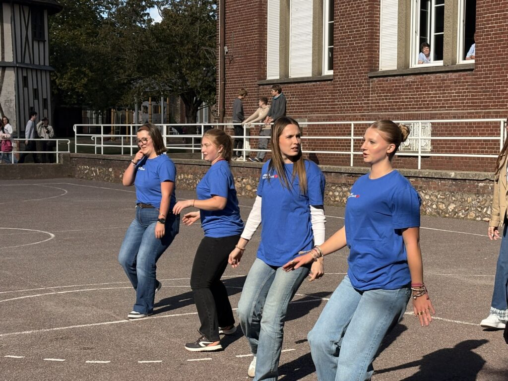 IMG 4528
