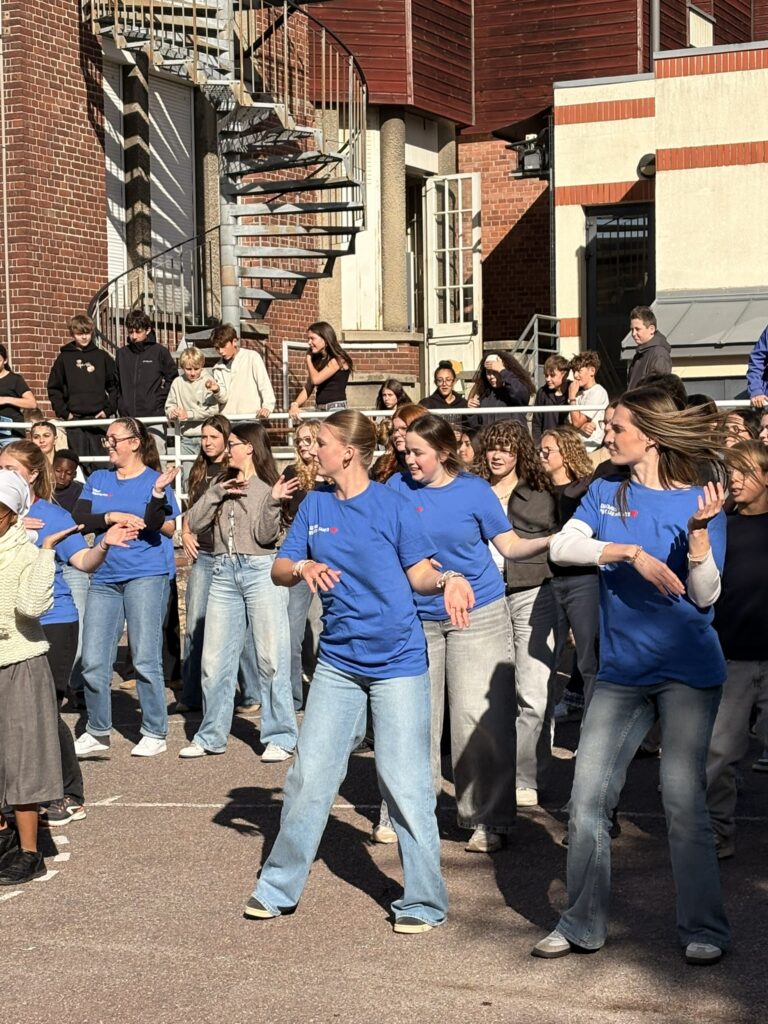 IMG 4529