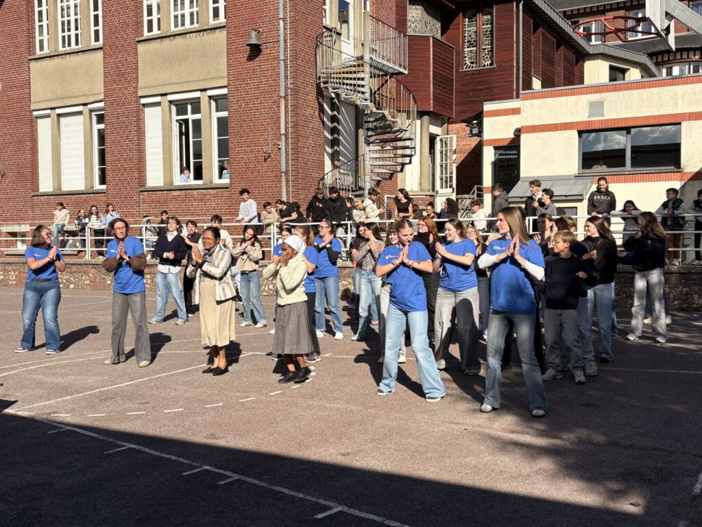 IMG 4531